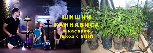 ГАЛЛЮЦИНОГЕННЫЕ ГРИБЫ Кукмор