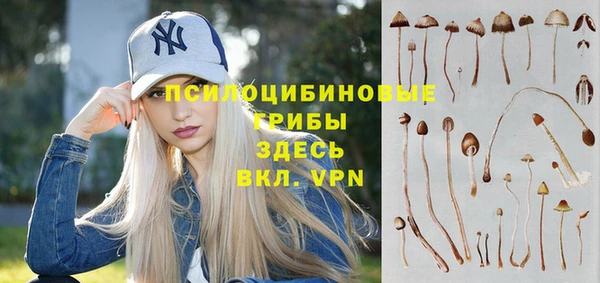 сатива Краснослободск